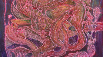 고민하는무우-72d,300k